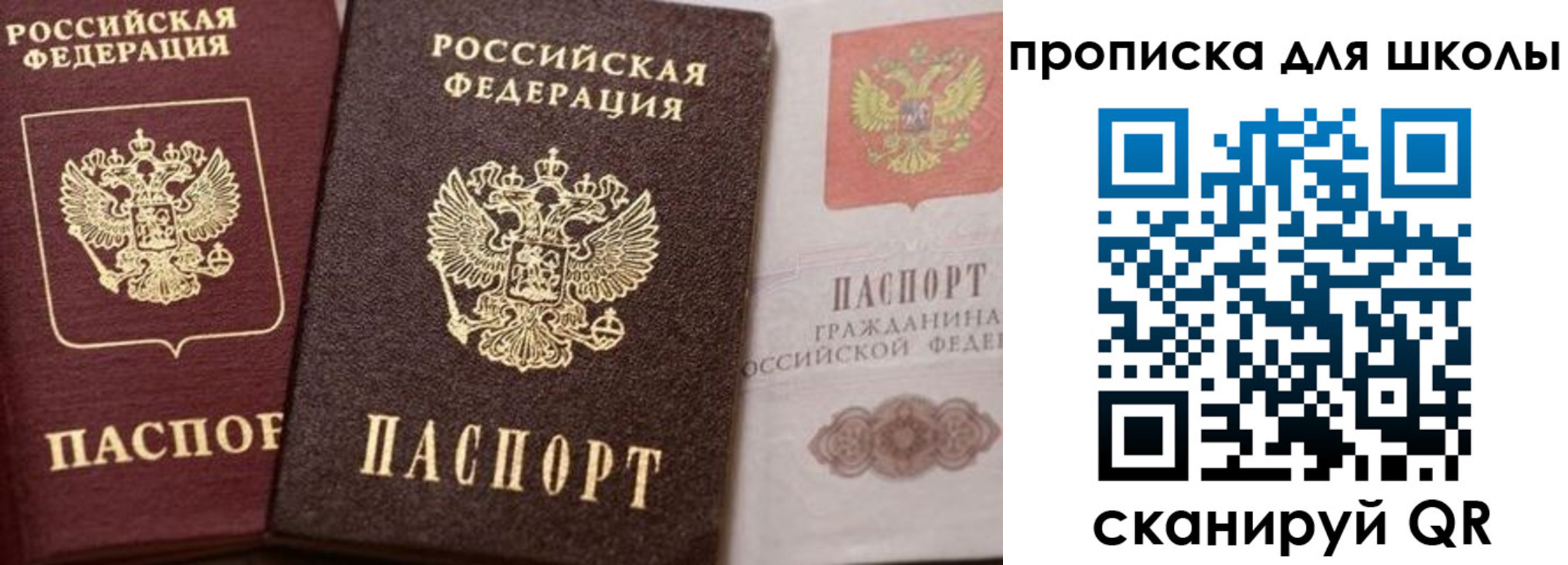 прописка законно в Касимове